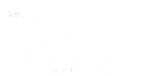 BUN COSMETIC